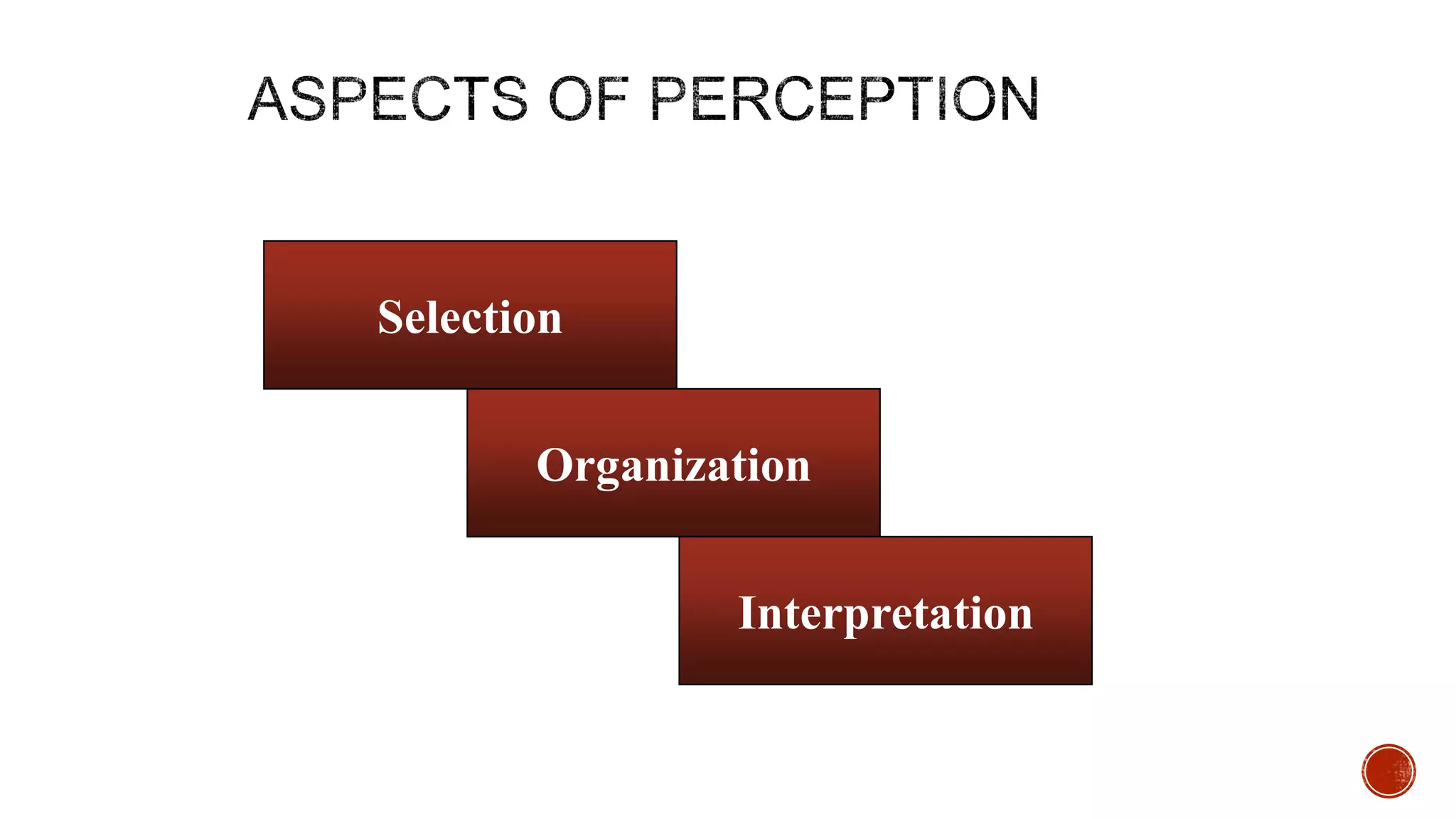 Selection
Organization
Interpretation
 