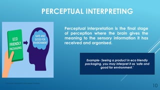 Understanding Consumer Perception and Market Strategy for Effective ...