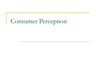 Consumer Perception

 