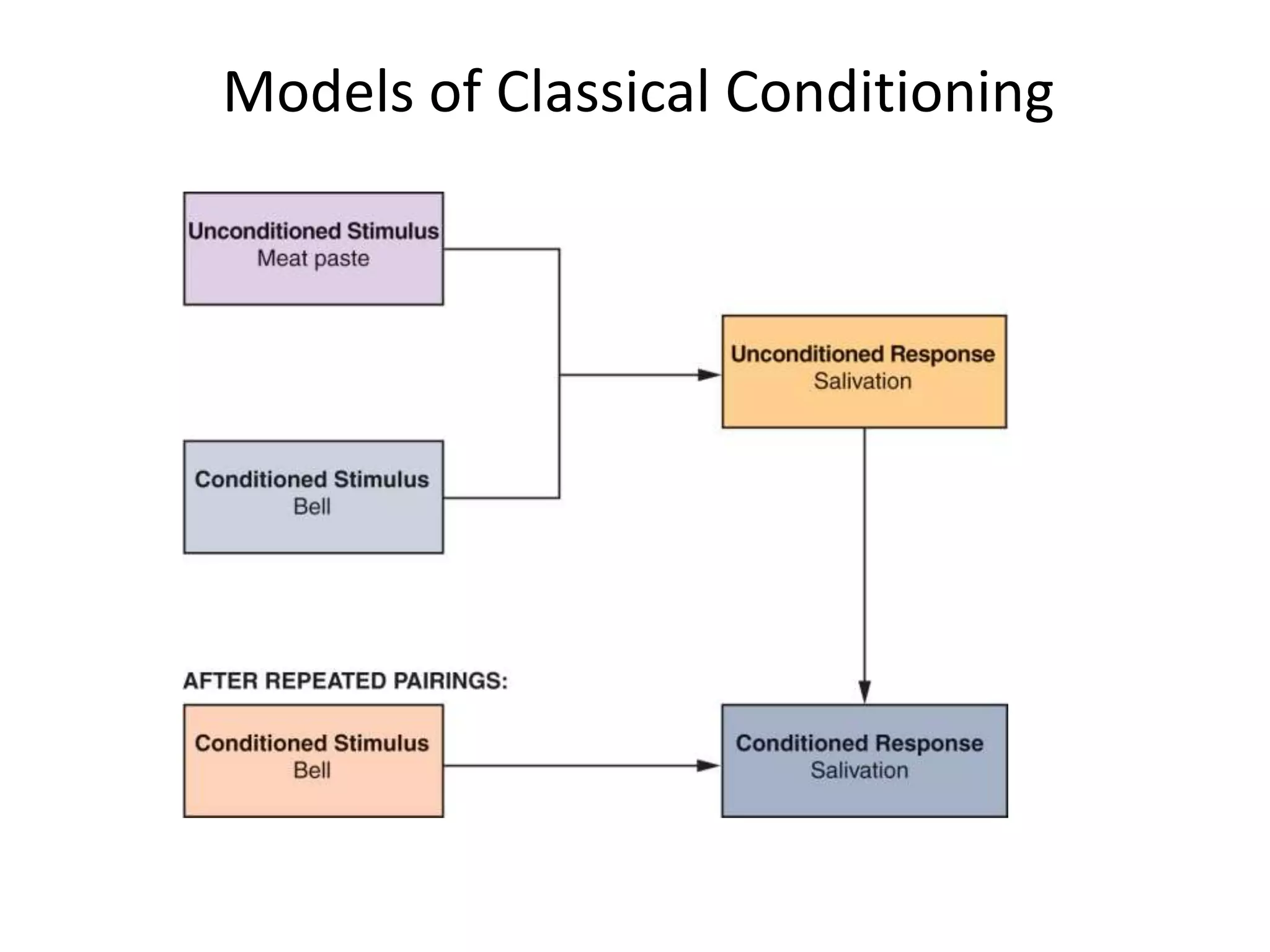 Models of Classical Conditioning
 