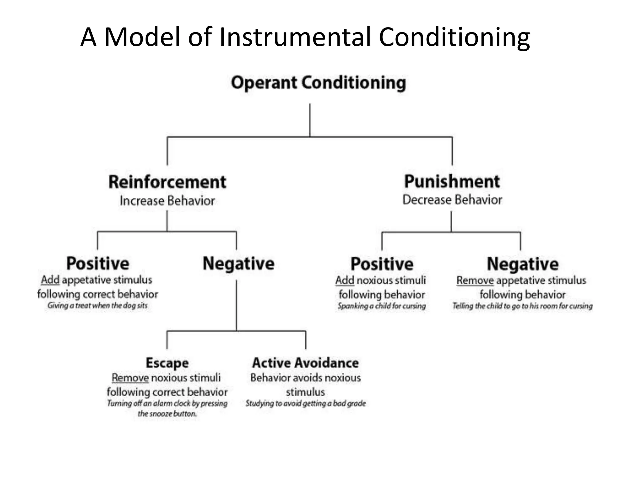 A Model of Instrumental Conditioning
 