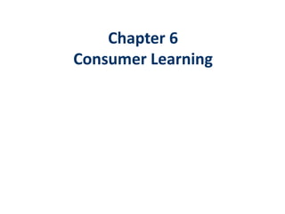 Chapter 6
Consumer Learning
 