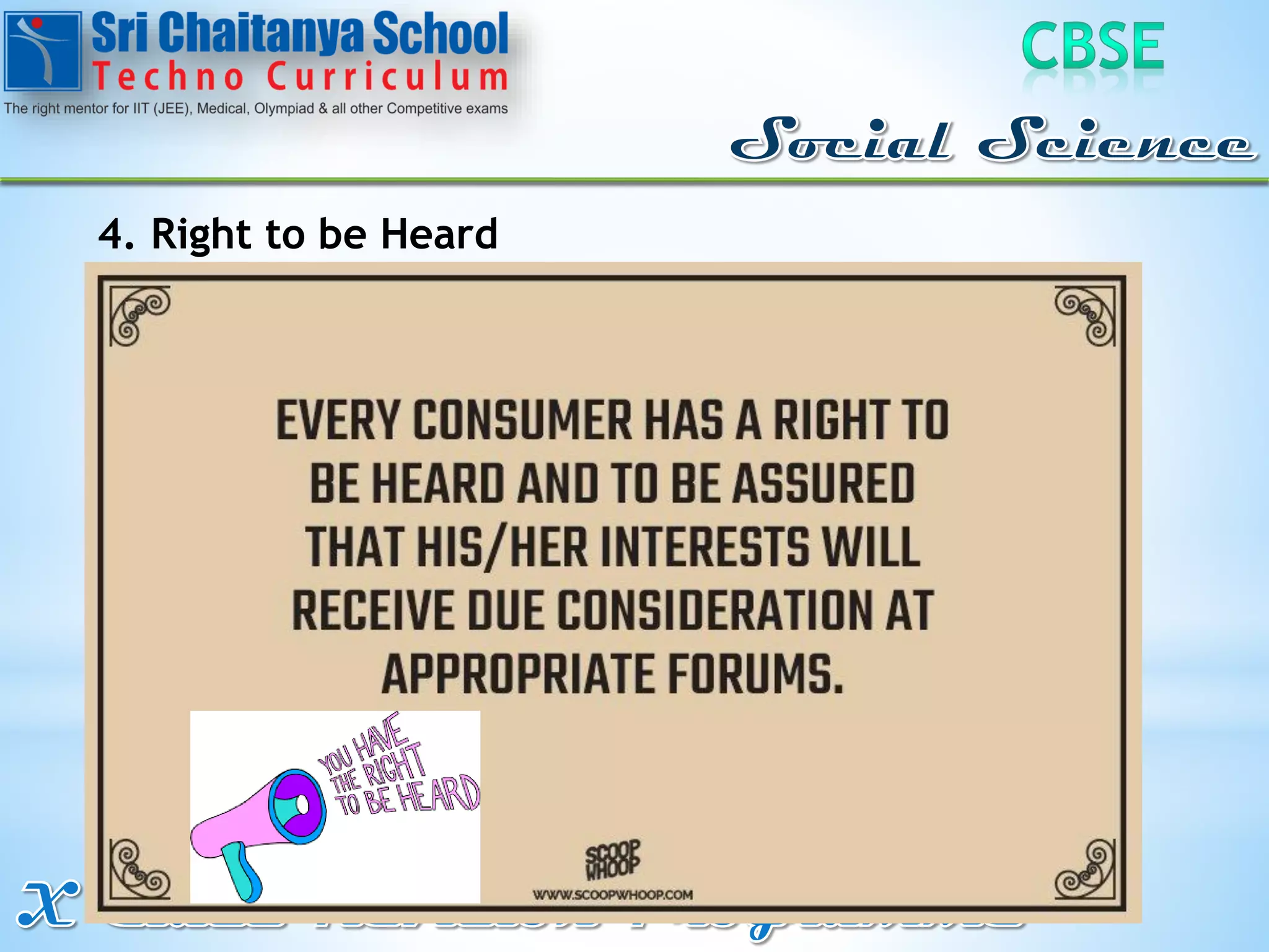 Consumer Rights Project Guidelines.pdf