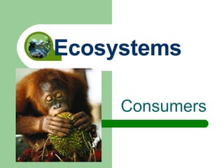 Consumers Ecosystems 