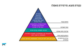 צרכנים וקבלת החלטות