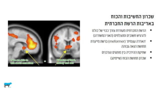 צרכנים וקבלת החלטות