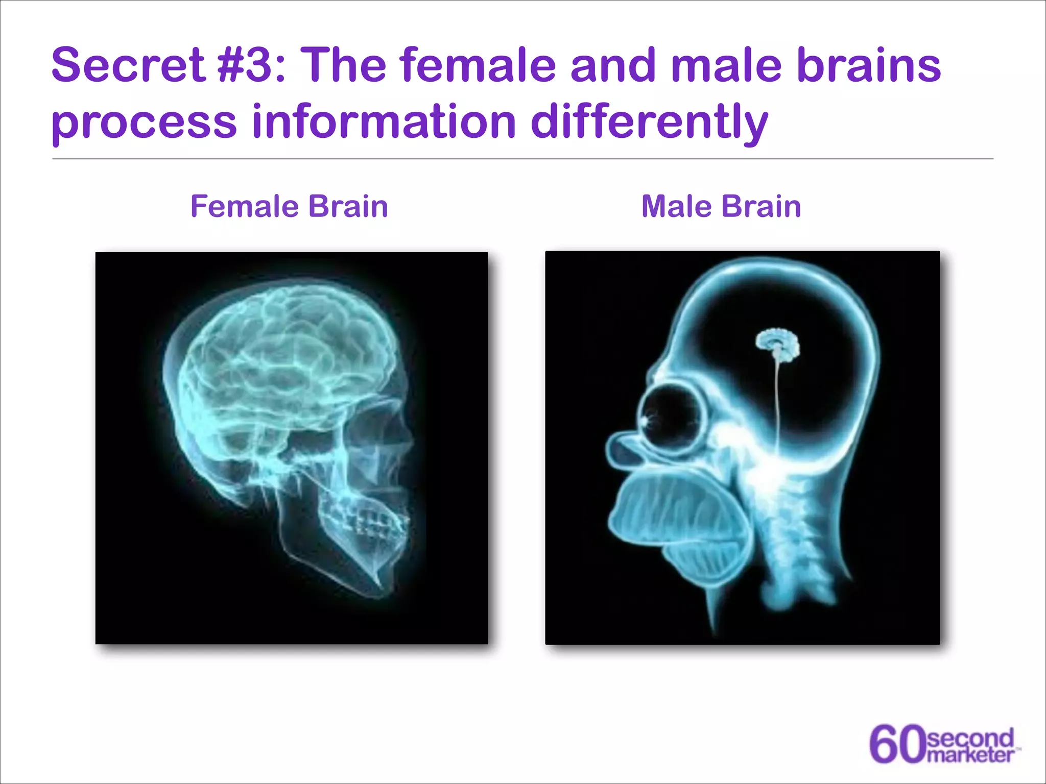 Secret #3: The female and male brains
process information differently
Female Brain

Male Brain

 