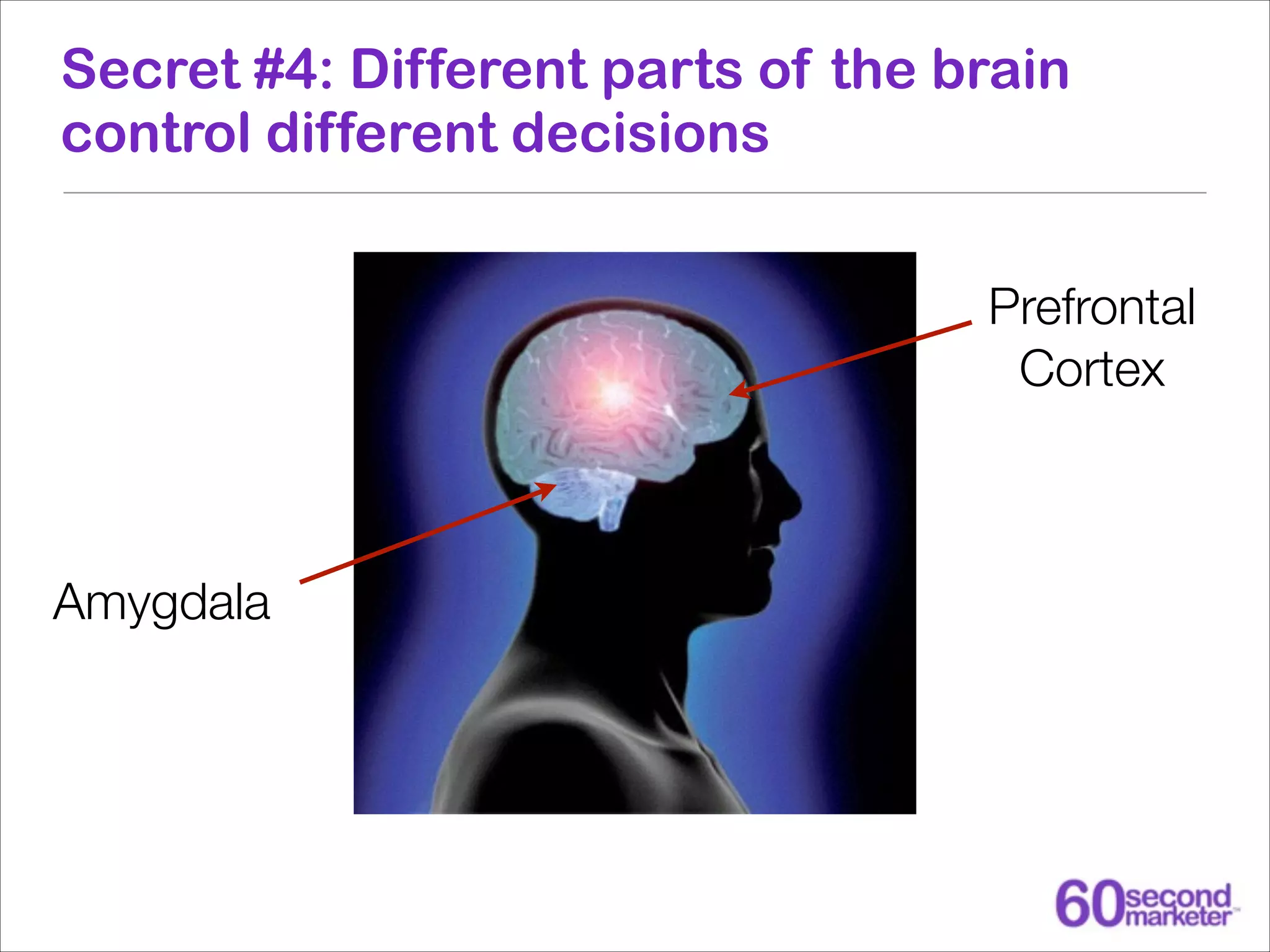 Secret #4: Different parts of the brain
control different decisions
Prefrontal
Cortex

Amygdala

 