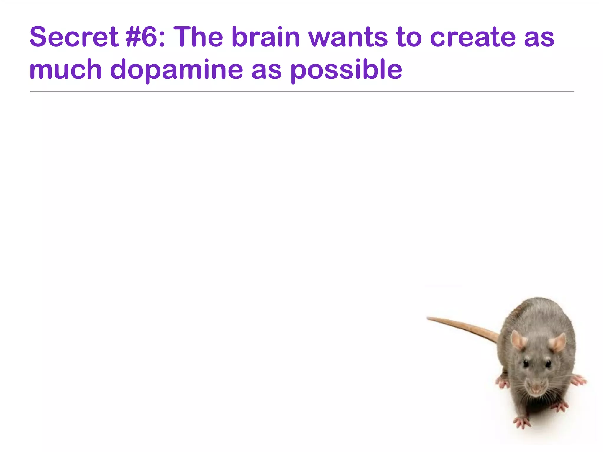 Secret #6: The brain wants to create as
much dopamine as possible

 