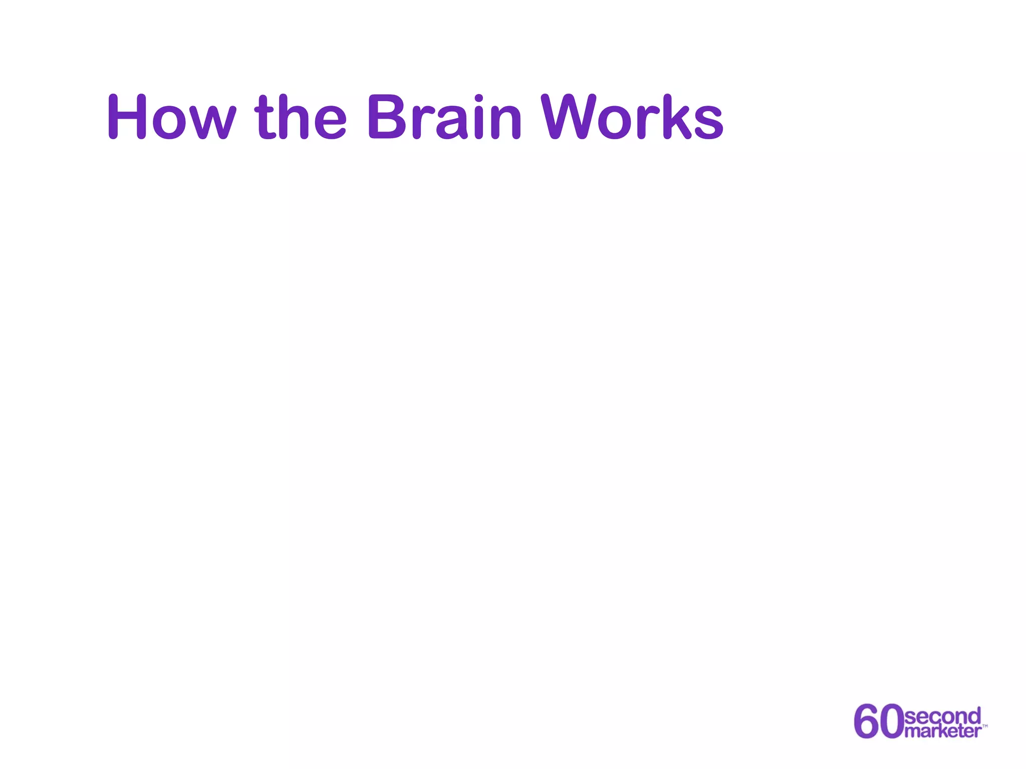 How the Brain Works
 
