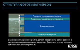 СТРУКТУРА ФОТОБУМАГИ EPSON


                                      Покрытие, принимающее чернила
                                    Полимерное микропористое покрытие


                                             Бумажная основа



                                          Полимерное покрытие


              Верхнее полимерное покрытие делает поверхность более ровной, а
              нижнее полимерное покрытие защищает бумажную основу и делает
              сам носитель более прочным.
Company Confidential                                                           145
 
