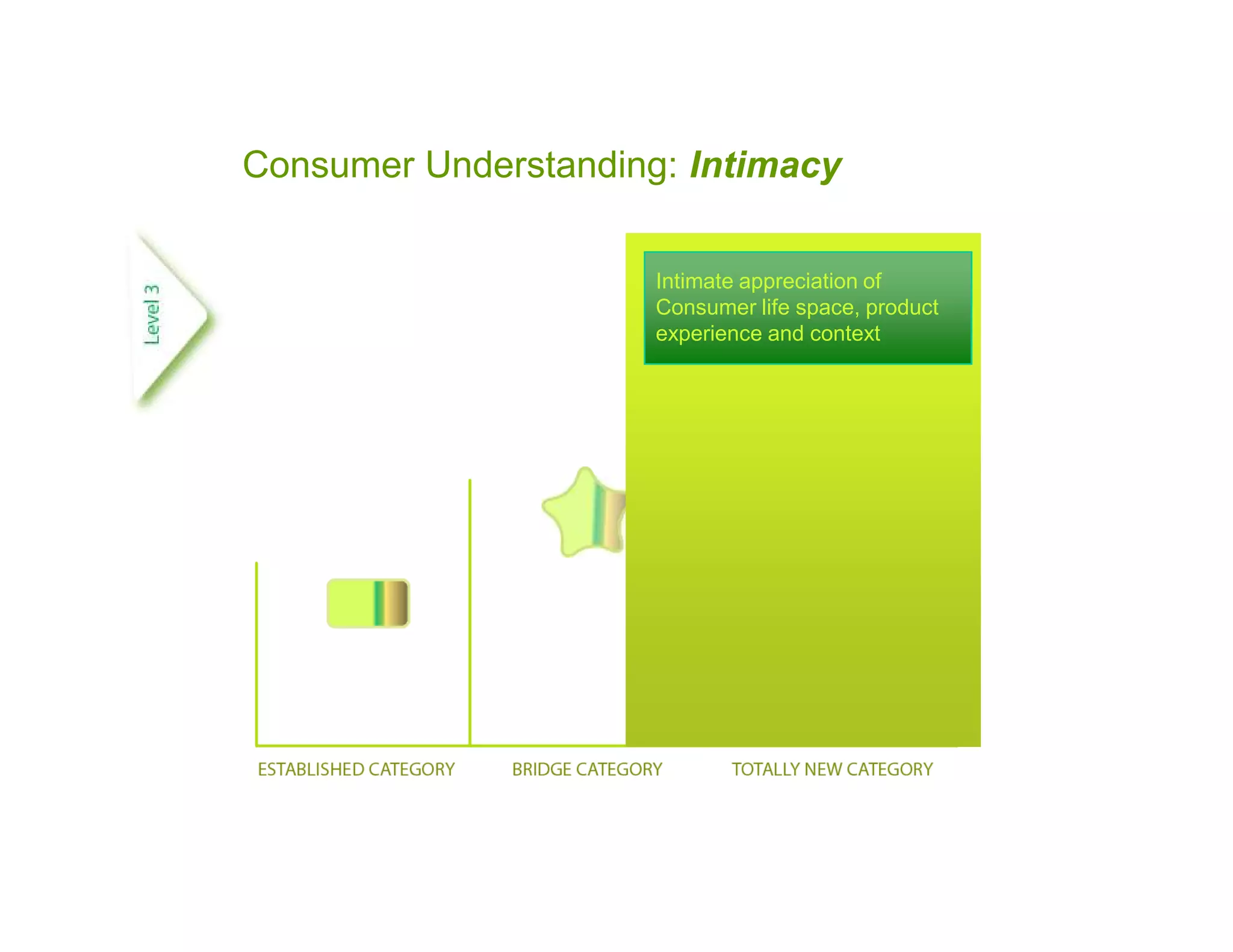 Consumer Understanding: Intimacy

                      Intimate appreciation of
                      Consumer life space, product
                      experience and context
 
