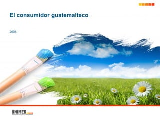 El consumidor guatemalteco
2008
 