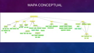 MAPA CONCEPTUAL

 