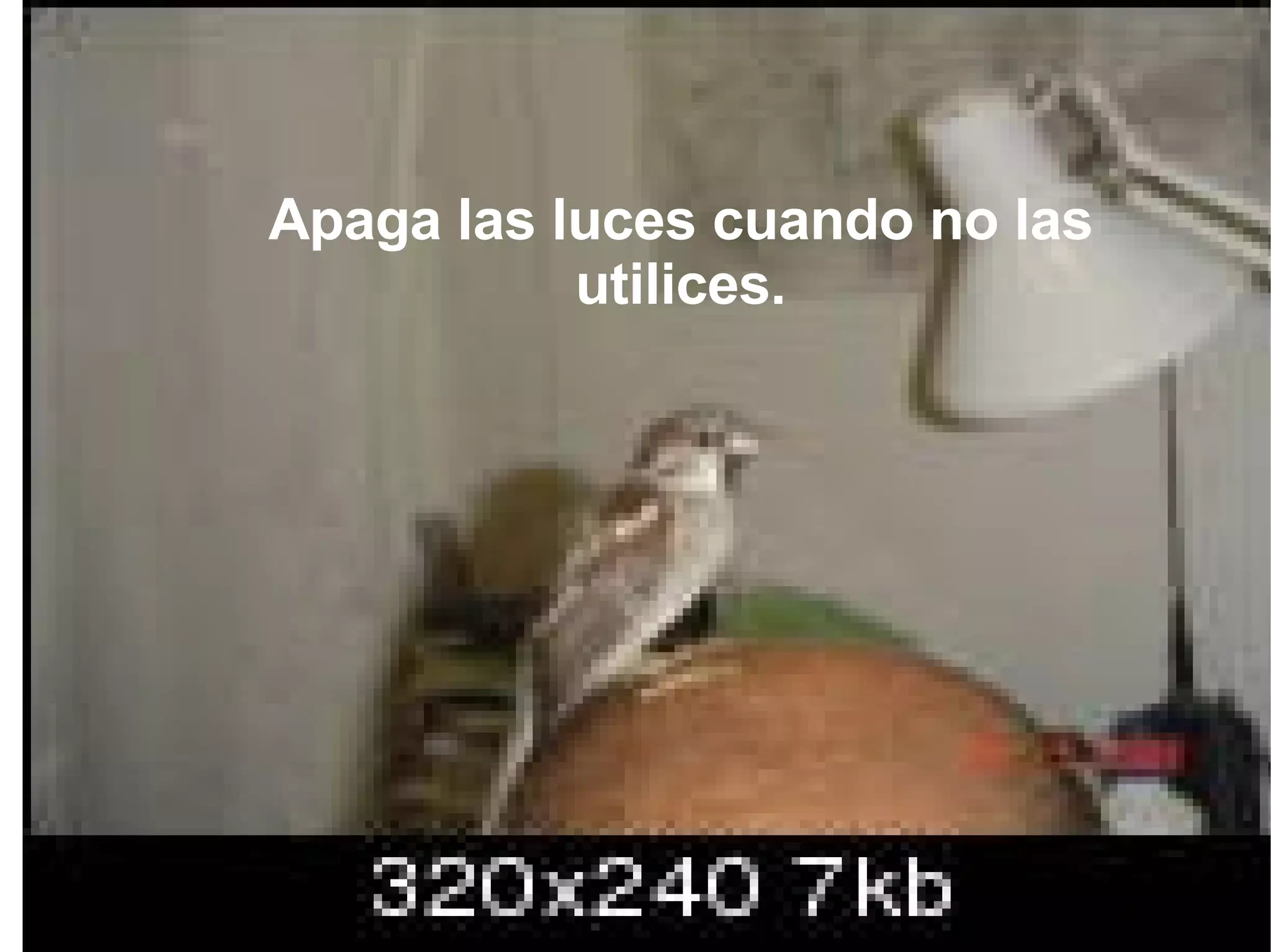 Apaga las luces cuando no las utilices.