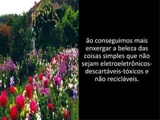 ão conseguimos mais
  enxergar a beleza das
 coisas simples que não
sejam eletroeletrônicos-
 descartáveis-tóxicos e
     não recicláveis.
 