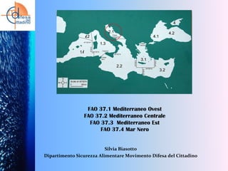 FAO 37.1 Mediterraneo Ovest
FAO 37.2 Mediterraneo Centrale
FAO 37.3 Mediterraneo Est
FAO 37.4 Mar Nero

Silvia Biasotto
Dipartimento Sicurezza Alimentare Movimento Difesa del Cittadino

 
