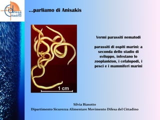 …parliamo di Anisakis

Vermi parassiti nematodi
parassiti di ospiti marini: a
seconda dello stadio di
sviluppo, infestano lo
zooplankton, i cefalopodi, i
pesci e i mammiferi marini

Silvia Biasotto
Dipartimento Sicurezza Alimentare Movimento Difesa del Cittadino

 