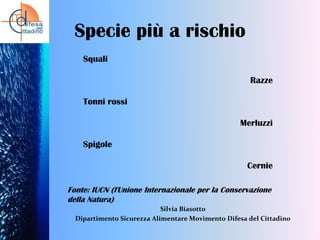 Specie più a rischio
Squali
Razze
Tonni rossi
Merluzzi
Spigole
Cernie
Fonte: IUCN (l'Unione Internazionale per la Conservazione
della Natura)
Silvia Biasotto
Dipartimento Sicurezza Alimentare Movimento Difesa del Cittadino

 