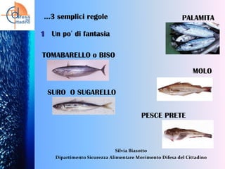 …3 semplici regole

PALAMITA

1 Un po’ di fantasia

TOMABARELLO o BISO
MOLO
SURO O SUGARELLO

PESCE PRETE

Silvia Biasotto
Dipartimento Sicurezza Alimentare Movimento Difesa del Cittadino

 