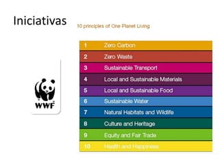 Iniciativas