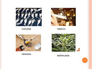 COCAINA   TABACO




HEROINA
          MARIHUANA
 