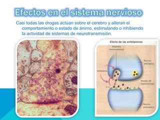 Casi todas las drogas actúan sobre el cerebro y alteran el
comportamiento o estado de ánimo, estimulando o inhibiendo
la actividad de sistemas de neurotransmisión.
 