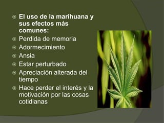  El uso de la marihuana y
sus efectos más
comunes:
 Perdida de memoria
 Adormecimiento
 Ansia
 Estar perturbado
 Apreciación alterada del
tiempo
 Hace perder el interés y la
motivación por las cosas
cotidianas
 