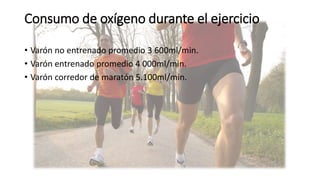 Consumo de oxígeno durante el ejercicio
• Varón no entrenado promedio 3 600ml/min.
• Varón entrenado promedio 4 000ml/min.
• Varón corredor de maratón 5.100ml/min.
 