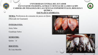 UNIVERSIDAD CENTRAL DEL ECUADOR
FACULTAD DE FILOSOFÍA, LETRAS Y CIENCIAS DE LA EDUCACIÓN
CARRERA DE PEDAGOGÍA DE LAS CIENCIAS EXPERIMENTALES, BIOLOGÍAY
QUÍMICA
FAUNA ECUATORIANA
TEMA: Preferencia de consumo de peces en Quito
(Mercado de Guamaní)
INTEGRANTES:
Jenny Salas
Guadalupe Saltos
SEMESTRE:
Quinto ¨A¨
DOCENTE:
Dr. Iván Morrillo
 