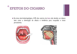+
    EFEITOS DO CIGARRO

       Naárea otorrinolaringológica, 65% dos cancros da boca são devidos ao tabaco
       bem como a diminuição do olfacto e tendência para rouquidão e tosse
       persistentes.
 