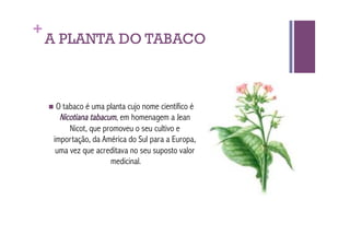+
    A PLANTA DO TABACO



      Otabaco é uma planta cujo nome científico é
       Nicotiana tabacum, em homenagem a Jean
          Nicot, que promoveu o seu cultivo e
     importação, da América do Sul para a Europa,
      uma vez que acreditava no seu suposto valor
                       medicinal.
 