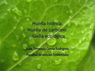 Huella hídrica.
Huella de carbono.
Huella ecológica
Luisa Fernanda García Rodriguez.
Facultad de ciencias Ambientales
 