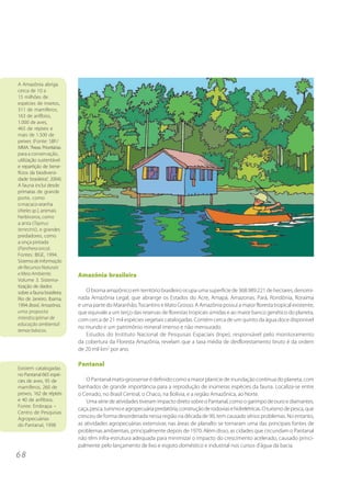 6 8
Amazônia brasileira
O bioma amazônico em território brasileiro ocupa uma superfície de 368.989.221 de hectares, denomi-
nada Amazônia Legal, que abrange os Estados do Acre, Amapá, Amazonas, Pará, Rondônia, Roraima
e uma parte do Maranhão,Tocantins e Mato Grosso. A Amazônia possui a maior floresta tropical existente,
que equivale a um terço das reservas de florestas tropicais úmidas e ao maior banco genético do planeta,
com cerca de 21 mil espécies vegetais catalogadas. Contém cerca de um quinto da água doce disponível
no mundo e um patrimônio mineral imenso e não mensurado.
Estudos do Instituto Nacional de Pesquisas Espaciais (Inpe), responsável pelo monitoramento
da cobertura da Floresta Amazônia, revelam que a taxa média de desflorestamento bruto é da ordem
de 20 mil km2
por ano.
Pantanal
O Pantanal mato-grossense é definido como a maior planície de inundação contínua do planeta, com
banhados de grande importância para a reprodução de inúmeras espécies da fauna. Localiza-se entre
o Cerrado, no Brasil Central, o Chaco, na Bolívia, e a região Amazônica, ao Norte.
Uma série de atividades tiveram impacto direto sobre o Pantanal, como o garimpo de ouro e diamantes,
caça,pesca,turismoeagropecuáriapredatória,construçãoderodoviasehidrelétricas.Oturismodepesca,que
cresceu de forma desordenada nessa região na década de 90, tem causado sérios problemas. No entanto,
as atividades agropecuárias extensivas nas áreas de planalto se tornaram uma das principais fontes de
problemas ambientais, principalmente depois de 1970. Além disso, as cidades que circundam o Pantanal
não têm infra-estrutura adequada para minimizar o impacto do crescimento acelerado, causado princi-
palmente pelo lançamento de lixo e esgoto doméstico e industrial nos cursos d’água da bacia.
Existem catalogadas
no Pantanal 665 espé-
cies de aves, 95 de
mamíferos, 260 de
peixes, 162 de répteis
e 40 de anfíbios.
Fonte: Embrapa –
Centro de Pesquisas
Agropecuárias
do Pantanal, 1998
A Amazônia abriga
cerca de 10 a
15 milhões de
espécies de insetos,
311 de mamíferos,
163 de anfíbios,
1.000 de aves,
465 de répteis e
mais de 1.500 de
peixes (Fonte: SBF/
MMA.“Áreas Prioritárias
para a conservação,
utilização sustentável
e repartição de bene-
fícios da biodiversi-
dade brasileira”, 2004).
A fauna inclui desde
primatas de grande
porte, como
omacaco-aranha
(Ateles sp.), animais
herbívoros, como
a anta (Tapirus
terrestris), e grandes
predadores, como
a onça pintada
(Pantheraonca).
Fontes: IBGE, 1994.
Sistema de Informação
deRecursosNaturais
eMeioAmbiente.
Volume 3. Sistema-
tização de dados
sobre a fauna brasileira.
Rio de Janeiro. Ibama,
1994.Brasil, Amazônia,
uma proposta
interdisciplinar de
educação ambiental:
temas básicos.
 