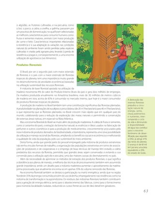 o algodão, as fruteiras cultivadas, e na pecuária, como
o boi, o porco, a cabra, a ovelha, a galinha, passaram por
um processo de domesticação, no qual foram selecionadas
as melhores características para consumo humano como:
frutas e sementes maiores, animais com maior produção
de carne e leite. Características importantes relacionadas
à resistência e à sua adaptação às variações nas condições
naturais do ambiente foram sendo perdidas pelas espécies
cultivadas e criadas pela agropecuária, levando à perda de
resistência a pragas e, conseqüentemente, a uma enorme
utilização de agrotóxicos (ver Alimentos).

Produtos florestais

    O Brasil, por ser o segundo país com maior extensão
de florestas e o país com a maior extensão de florestas
tropicais do planeta, tem uma importância muito grande
no desenvolvimento de atividades econômicas baseadas
na utilização sustentável dos recursos florestais.
    A indústria de base florestal apoiada na utilização da
madeira movimenta 4% do valor do Produto Interno Bruto do país e gera dois milhões de empregos.
Da madeira produzida anualmente na Amazônia brasileira, mais de 30 milhões de metros cúbicos
de madeira em tora, acima de 85% é consumida no mercado interno, que hoje é o maior consumidor                 A destruição das
de produtos florestais tropicais do planeta.                                                                   reservas florestais
    A produção de madeira no Brasil também tem uma contribuição significativa das florestas plantadas.         prejudica a circu-
A produtividade nas plantações de eucaliptos e pinus dobrou (de 20 m3/hectare/ano para 40 m3/hectare/ano),     lação natural de
                                                                                                               energia, vento,
o que representa que as florestas plantadas no Brasil crescem mais rápido que em qualquer país do
                                                                                                               chuva, sedimentos
mundo, colaborando para a redução da exploração das matas naturais e permitindo a conservação                  e nutrientes, inter-
de extensas áreas nativas, em especial na Mata Atlântica.                                                      rompendo o ciclo
    Mas a economia florestal do Brasil vai muito além da produção madeireira. A coleta de frutos e sementes,   da vida e diminuindo
como a castanha-do-pará, a extração da borracha natural, as essências e óleos usados na fabricação de          a disponibilidade
                                                                                                               de água. Isso contribui
perfumes e outros cosméticos e para a produção de medicamentos, crescentemente procurados pela
                                                                                                               para o crescente
nova indústria de produtos derivados da biodiversidade, a bioindústria, representa uma nova possibilidade      fenômeno de deser-
da utilização e manejo racional das florestas, ampliando os benefícios sociais e econômicos e melhorando       tificação, que, segundo
a qualidade de vida da população, pelo uso sustentável do meio ambiente.                                       a ONU, já atinge 41%
    Desta forma, ainda que grande parte do pessoal empregado pela indústria de produtos extrativistas          das terras do planeta.
                                                                                                               O avanço é de 60 mil
não tenha vínculos formais de trabalho, a organização das populações extrativistas em torno de associa-
                                                                                                               km2 por ano, uma área
ções de produtores e de cooperativas e o emprego de boas técnicas de manejo têm evitado a coleta               equivalente a 20%
predatória dos recursos da floresta, permitido que grandes áreas sejam conservadas e evitando a sua            do estado de Goiás.
conversão para a utilização agrícola e pecuária, uma das maiores causas do desmatamento no país.
    Além da necessidade de aprimorar os métodos de extração dos produtos florestais, o que significa
a obediência aos planos de manejo, a melhoria das técnicas de processamento também vem assumindo
grande importância, sendo um desafio para a indústria madeireira aumentar o aproveitamento da matéria-
prima processada, que atualmente encontra-se em apenas 35% do volume removido das florestas.
    Na economia florestal também se destaca a participação na matriz energética, sendo que na região
Nordeste 35% da energia consumida provém do uso da lenha, empregada tanto nas residências como na
indústria de transformação e na agroindústria. Os resíduos das indústrias florestais também contribuem
para a geração de energia elétrica, tanto para o abastecimento das fábricas, como para o fornecimento
para inúmeras localidades isoladas, reduzindo os custos frente ao uso de óleo diesel em geradores.

                                                                                                                                 63
 
