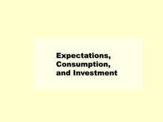 Expectations, Consumption, and Investment 