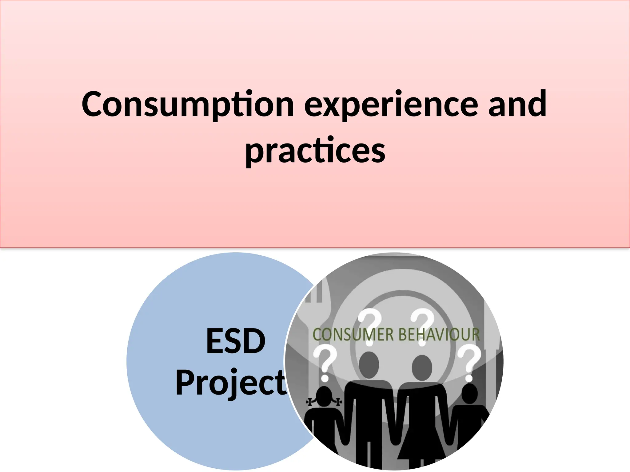 Consumption experience and
practices
ESD
Project
 