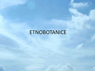ETNOBOTANICE
 