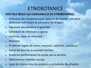 ETNOBOTANICE
EFECTELE REALE ALE CONSUMULUI DE ETNOBOTANICE:
 Schimbari de comportament: izolarea de familie, atitudine
defensiva referitoare la consumul de droguri
 Ingrasare sau pierdere in greutate
 Schimbari de infatisare si igiena
 Confuzie, lipsa de orientare
 Paranoia
 Probleme legate de somn: insomnii, neliniste, cosmaruri
 Furtul de bani de la membrii familiei
 Scaderea performantei la scoala sau la serviciu
 Deteriorarea relatiilor sociale
 Lipsa de interes fata de prietenii si activitatile de altadata
 