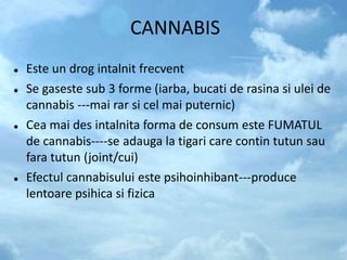 CANNABIS
 Este un drog intalnit frecvent
 Se gaseste sub 3 forme (iarba, bucati de rasina si ulei de
cannabis ---mai rar si cel mai puternic)
 Cea mai des intalnita forma de consum este FUMATUL
de cannabis----se adauga la tigari care contin tutun sau
fara tutun (joint/cui)
 Efectul cannabisului este psihoinhibant---produce
lentoare psihica si fizica
 