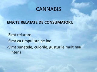 CANNABIS
EFECTE RELATATE DE CONSUMATORI:
-Simt relaxare
-Simt ca timpul sta pe loc
-Simt sunetele, culorile, gusturile mult mai
intens
 