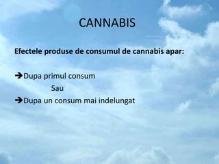 CANNABIS
Efectele produse de consumul de cannabis apar:
Dupa primul consum
Sau
Dupa un consum mai indelungat
 