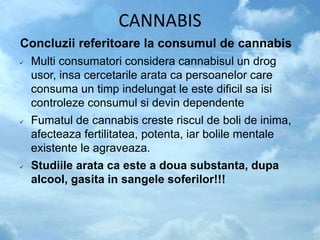 CANNABIS
Concluzii referitoare la consumul de cannabis
 Multi consumatori considera cannabisul un drog
usor, insa cercetarile arata ca persoanelor care
consuma un timp indelungat le este dificil sa isi
controleze consumul si devin dependente
 Fumatul de cannabis creste riscul de boli de inima,
afecteaza fertilitatea, potenta, iar bolile mentale
existente le agraveaza.
 Studiile arata ca este a doua substanta, dupa
alcool, gasita in sangele soferilor!!!
 
