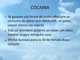 COCAINA
 Se gaseste sub forma de pudra alba care se
consuma de obicei prin INHALARE, se poate
uneori manca sau injecta
 Este un stimulent puternic pt creier, are efect
imediat asupra intregului corp
 Efectul dureaza pana la 20 de minute dupa
consum
 