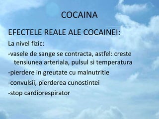 COCAINA
EFECTELE REALE ALE COCAINEI:
La nivel fizic:
-vasele de sange se contracta, astfel: creste
tensiunea arteriala, pulsul si temperatura
-pierdere in greutate cu malnutritie
-convulsii, pierderea cunostintei
-stop cardiorespirator
 