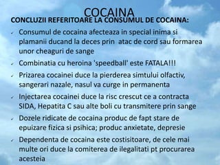 COCAINA
CONCLUZII REFERITOARE LA CONSUMUL DE COCAINA:
 Consumul de cocaina afecteaza in special inima si
plamanii ducand la deces prin atac de cord sau formarea
unor cheaguri de sange
 Combinatia cu heroina 'speedball' este FATALA!!!
 Prizarea cocainei duce la pierderea simtului olfactiv,
sangerari nazale, nasul va curge in permanenta
 Injectarea cocainei duce la risc crescut ce a contracta
SIDA, Hepatita C sau alte boli cu transmitere prin sange
 Dozele ridicate de cocaina produc de fapt stare de
epuizare fizica si psihica; produc anxietate, depresie
 Dependenta de cocaina este costisitoare, de cele mai
multe ori duce la comiterea de ilegalitati pt procurarea
acesteia
 