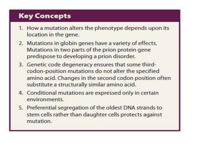 Lec-3 mutation and it types | PPT
