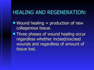 HEALING AND REGENERATION: Wound healing = production of new collagenous tissue. Three phases of wound healing occur regardless whether incised/excised wounds and regardless of amount of tissue lost. 