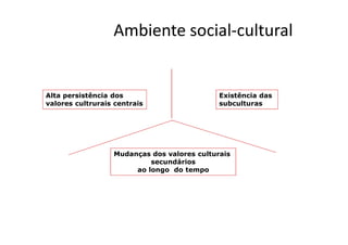 Ambiente social-cultural
Alta persistência dos
valores cultrurais centrais
Existência das
subculturas
Mudanças dos valores culturais
secundários
ao longo do tempo
 