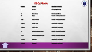 CODIGO CUENTA POSICION CONTABLE
1 Activo Área del Balance
11 Circulante División del Área
111 Caja Cuenta de Mayor General
11101 Caja General Cuenta de Mayor Auxiliar
1110101 Fondo Fijo Subcuenta de Mayor
1110102 Caja Chica Subcuenta de Mayor
112 Depósitos bancarios Cuenta de Mayor General
11201 Depósitos monetarios Cuenta de Mayor Auxiliar
1120101 Banco X Subcuenta de Mayor
1120102 Banco Y Subcuenta de Mayor
 
